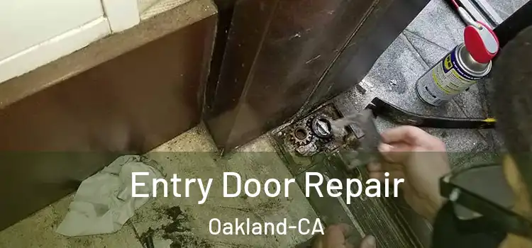  Entry Door Repair Oakland-CA